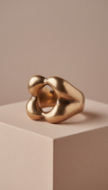 Massiver Ring aus Bronze